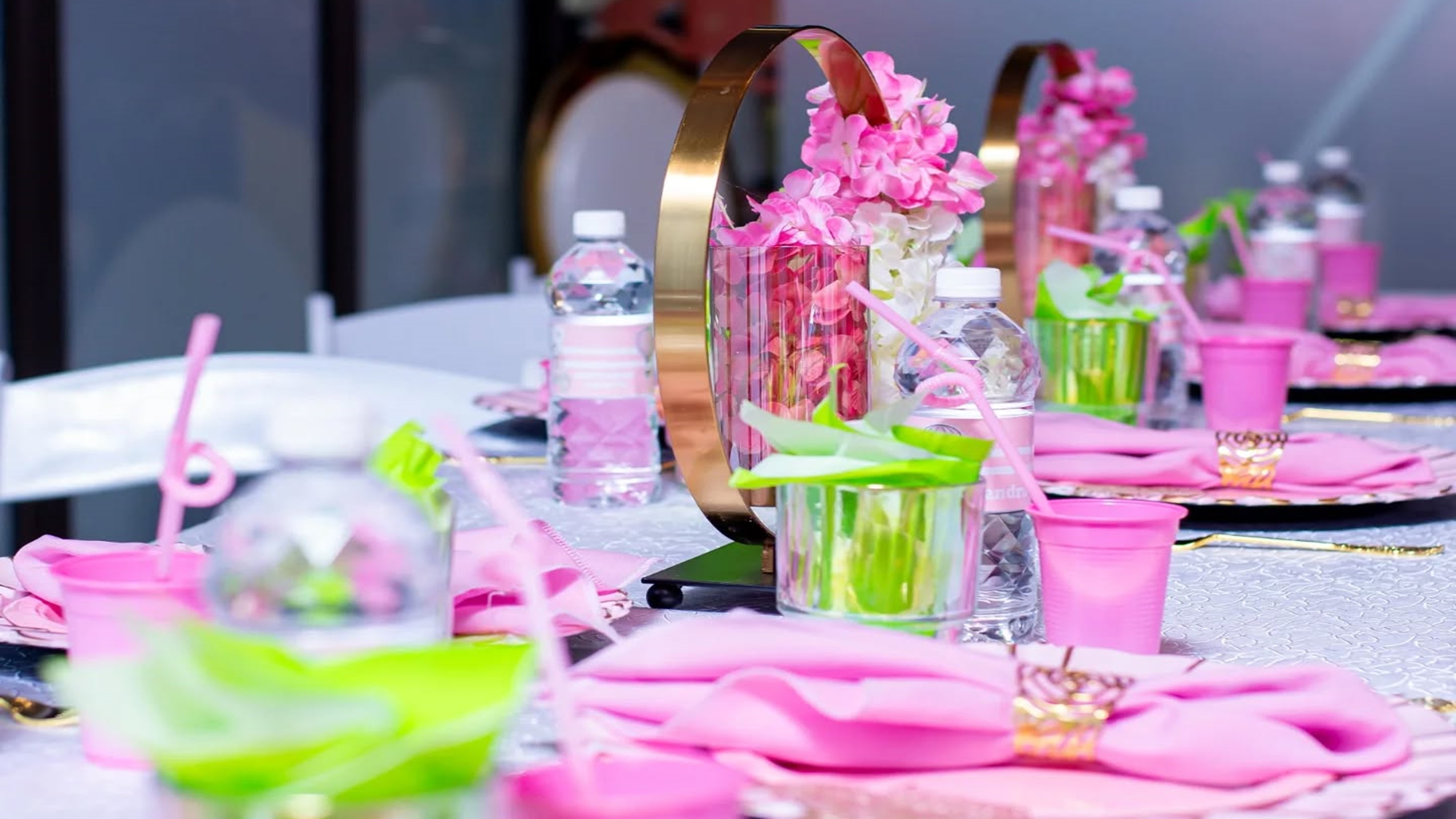 playville parties (4)